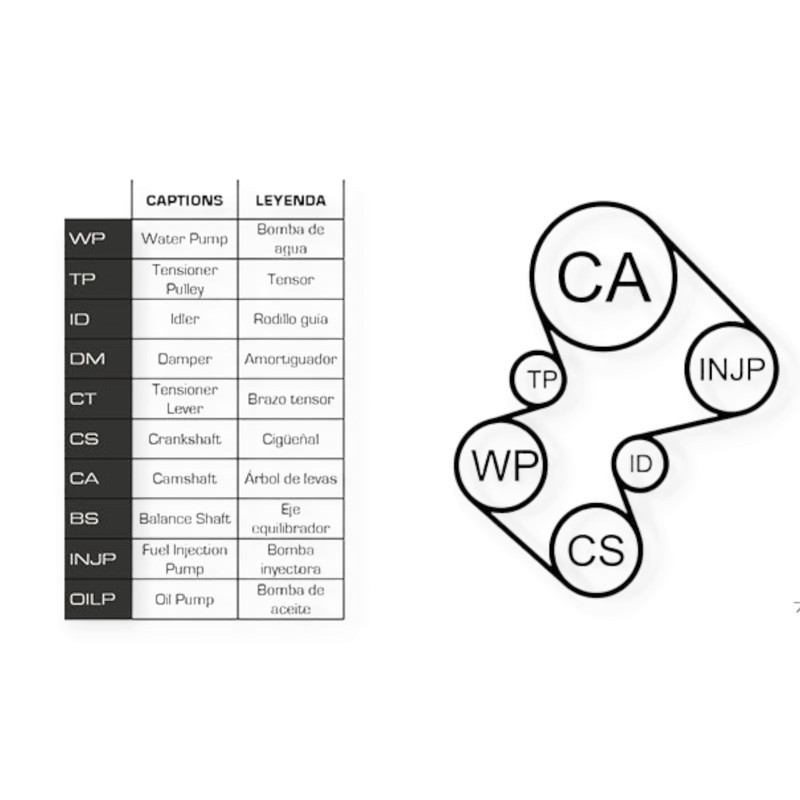 Ремкомплект Сітроен Jumper, Jumpy, Berlingo 1.9D, TD 94- (ремінь, ролики, помпа) - ГРМ Мукачево - фото 1