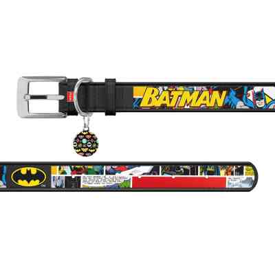 Нашийник для тварин WAUDOG Design з QR-паспортом "Бетмен 1" Ш 12 мм Д 18-24 см чорний (0012-1003-01) Вінниця