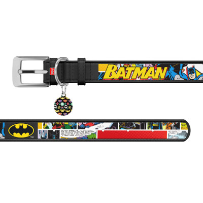 Ошейник для животных WAUDOG Design с QR-паспортом "Бэтмен 1" Ш 12 мм Д 18-24 см черный (0012-1003-01) Винница - изображение 3