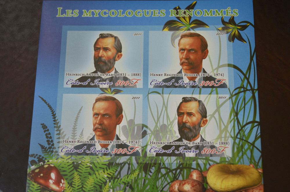 Марки. Особистості. Блок. 2011 рік (А-15) Полтава - изображение 1