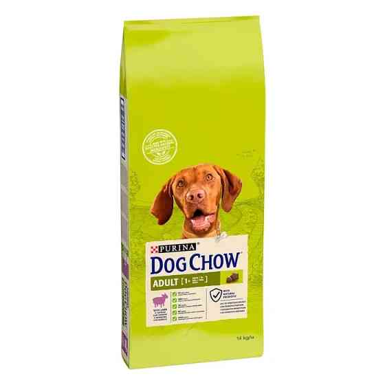 Сухой корм DOG CHOW Adult 1+ для взрослых собак, с ягненком, 14 кг Киев