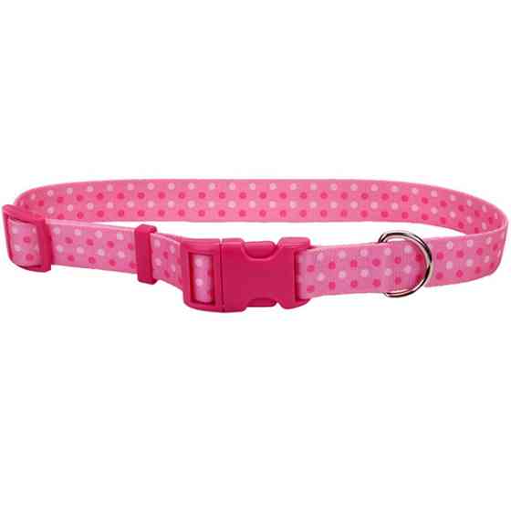 Coastal Pet Attire Styles КОСТАЛ СТАЙЛС нашийник для собак, 2.5х46-66см Київ