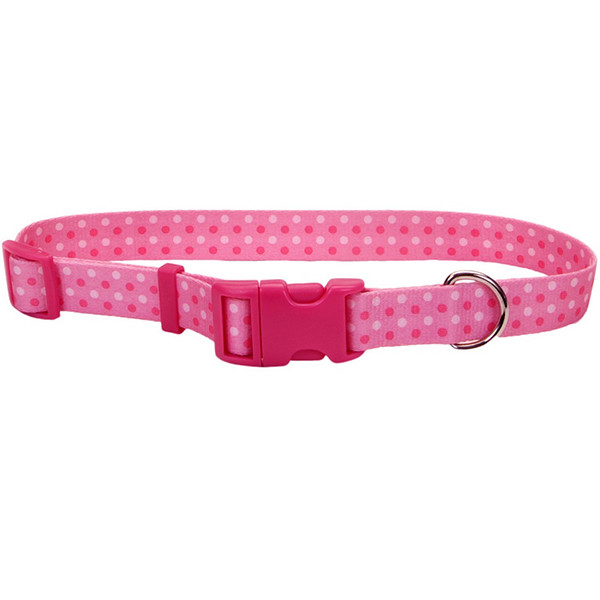 Coastal Pet Attire Styles КОСТАЛ СТАЙЛС нашийник для собак, 2.5х46-66см Київ - фото 1