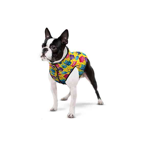 Курточка для собак WAUDOG Clothes рисунок 