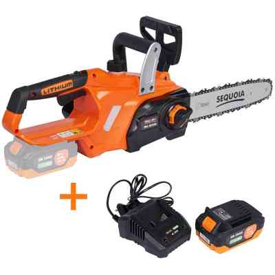 Ланцюгова пила SEQUOIA 20, безщіт. двиг, шина 30 см, АКБ 4 Ач та ЗП, 3.2 кг (SBC2012BS-EV) Вінниця