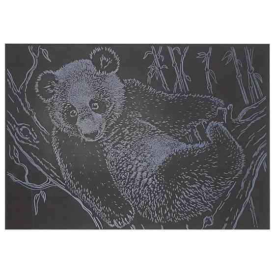 Гравюра А5 "Панда" ГрА5с-21 економ-варіант у пакеті 21 х 14,8 см Вінниця