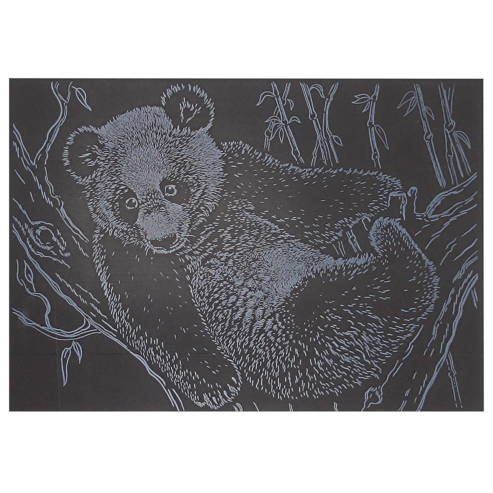 Гравюра А5 "Панда" ГрА5с-21 економ-варіант у пакеті 21 х 14,8 см Вінниця - фото 1