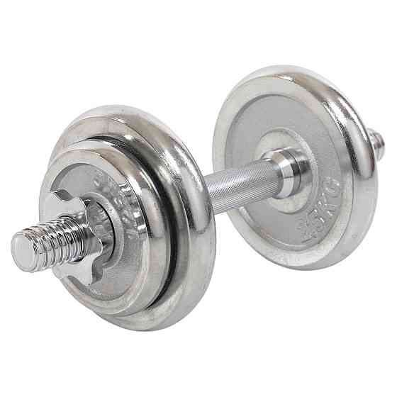 Набір хромованих гантелей 2 по 10 кг в кейсі Zelart-9644 Київ