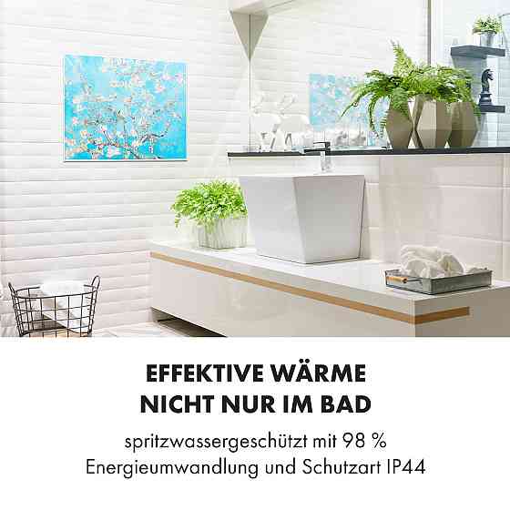 Розумний інфрачервоний нагрівач Wonderwall Air Art 80x60 см, 500 Вт, настінне кріплення, квіти 80 x 60 см / Рівне