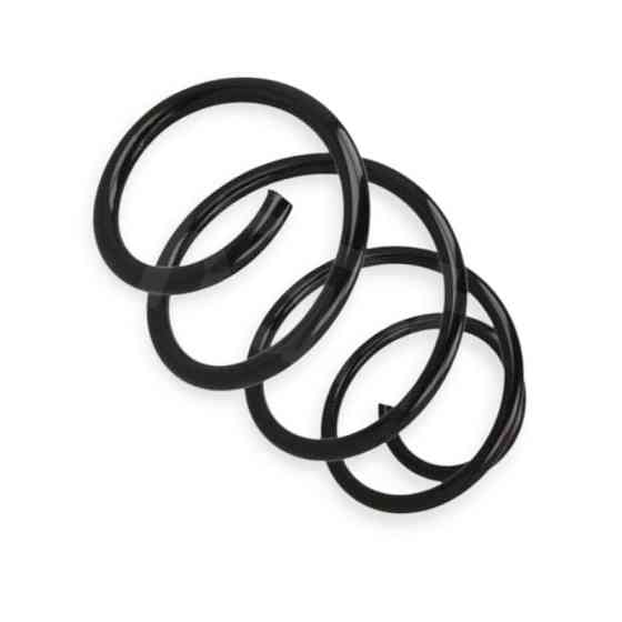 Пружина Renault Clio 0.9TCe, 1.2 12- передняя Мукачево