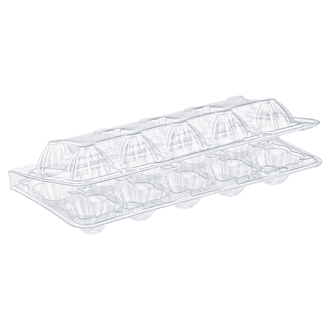 Упаковка для перепелиных яиц 10 ячеек (50 шт) Харьков