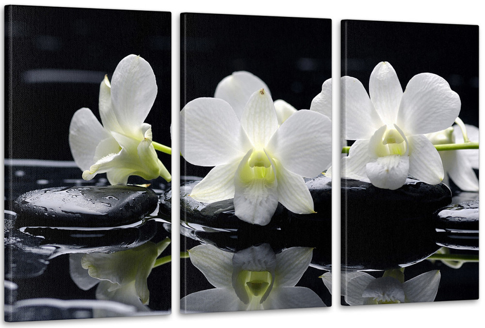 Модульна картина Коліри Орхідея Art-35_3А 100x150 см Київ - фото 1