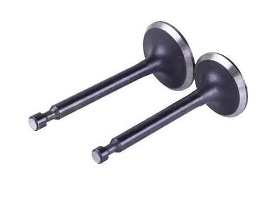 Клапани на бензиновий двигун P70F Мукачево