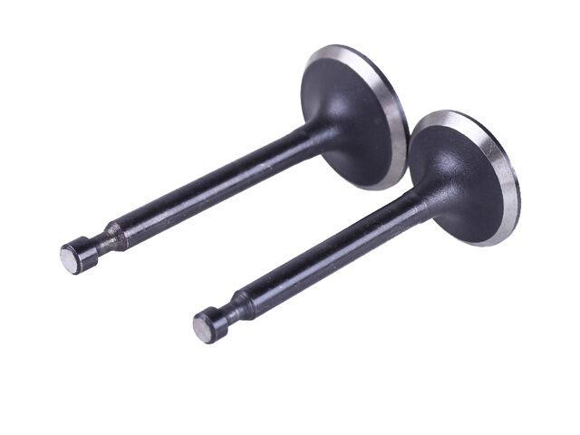 Клапани на бензиновий двигун P70F Мукачево - фото 1