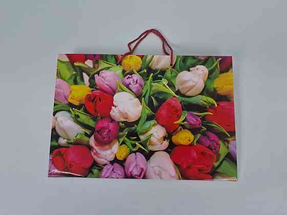 Паперовий великий горизонтальний пакет 36/22/10 (артBG-037) (12 шт.) Харків