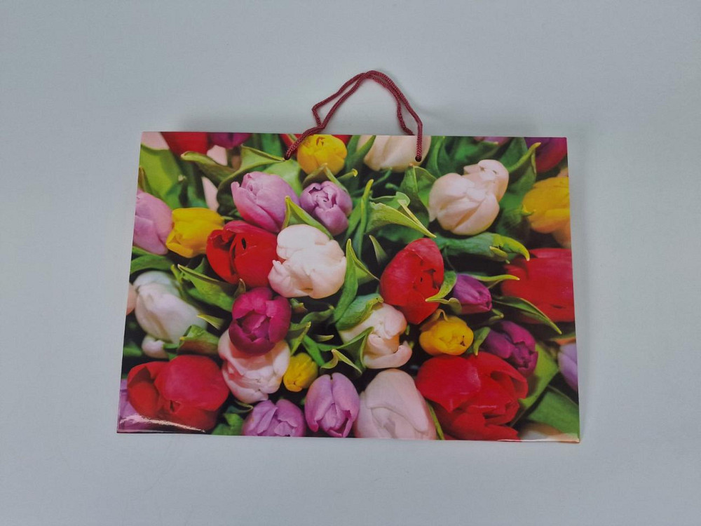 Паперовий великий горизонтальний пакет 36/22/10 (артBG-037) (12 шт.) Харків - фото 2