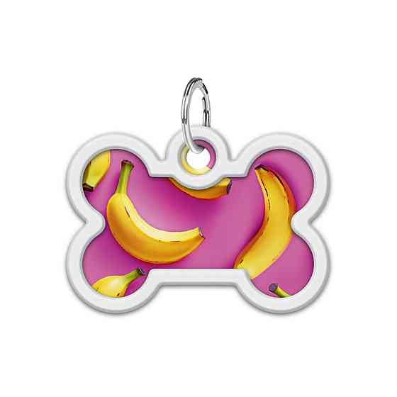 Адресник для собак и кошек металлический WAUDOG Smart ID с QR паспортом, рисунок 