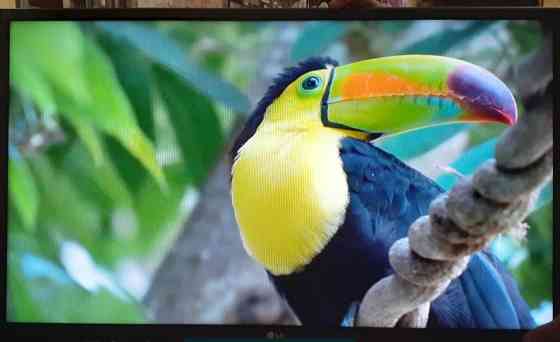 Телевізор: LG 32" T2, Пульт. Київ