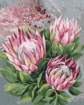 Рожеві протеї Київ