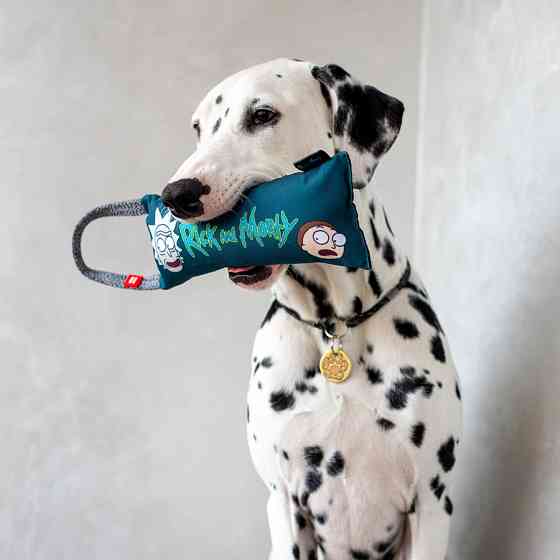 Іграшка для собак WAUDOG Fun з пискавкою, малюнок Рік і Морті 1, L, Ш 11 см, Д 26 см Київ