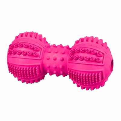 Іграшка для собак Trixie Denta Fun Гантель 9 см (4011905333434) Вінниця