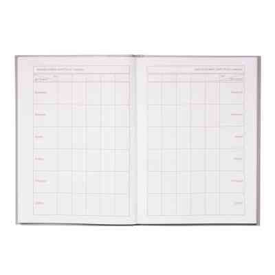 Дневник школьный ZiBi DINO SHAPE В5 48 листов (ZB.13803) Винница