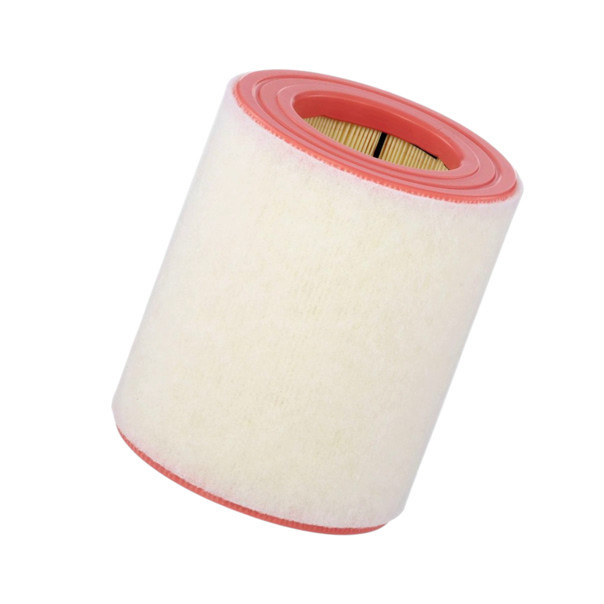 Фильтр Audi A6 2.8 FSI, 3.0TDI, 3.0TFSI (2010-) воздушный Мукачево - изображение 1