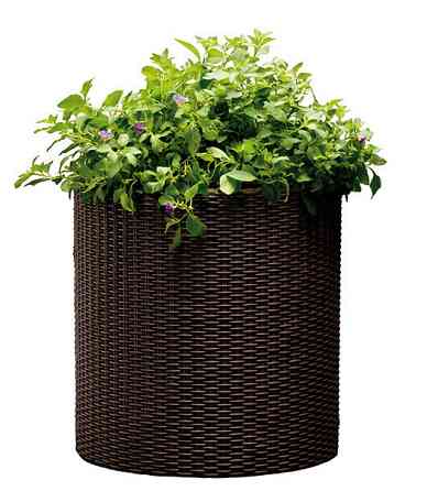 Горщик для квітів Keter 18 л. Cylinder Planter Medium, коричневий Київ