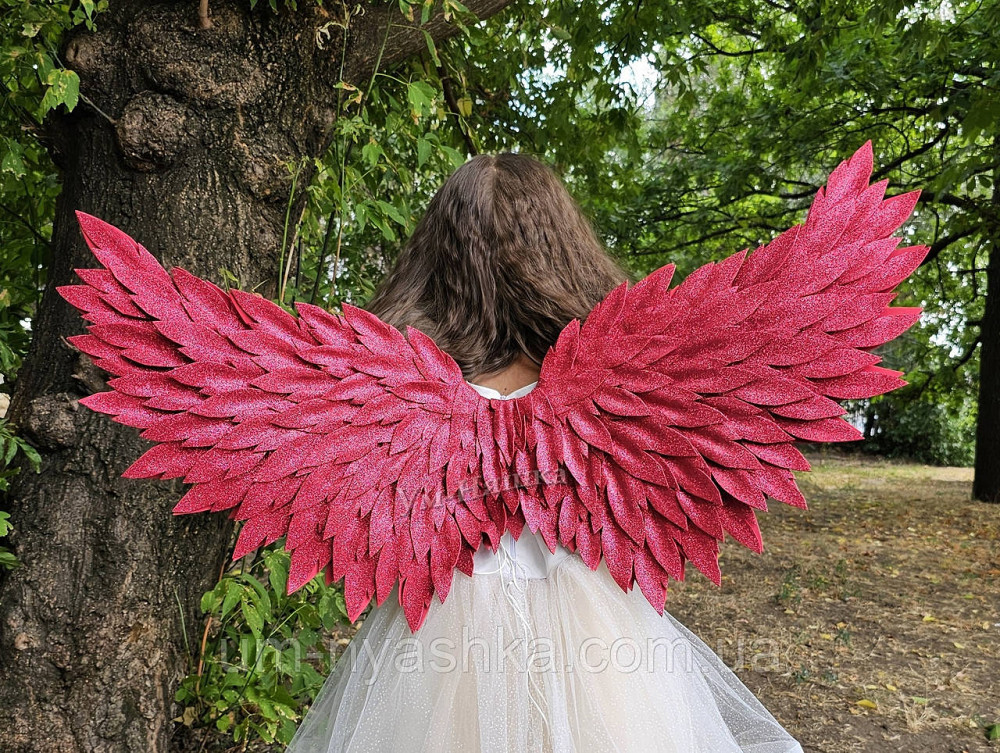 Червоні Крила великі Кривий Ріг - фото 1