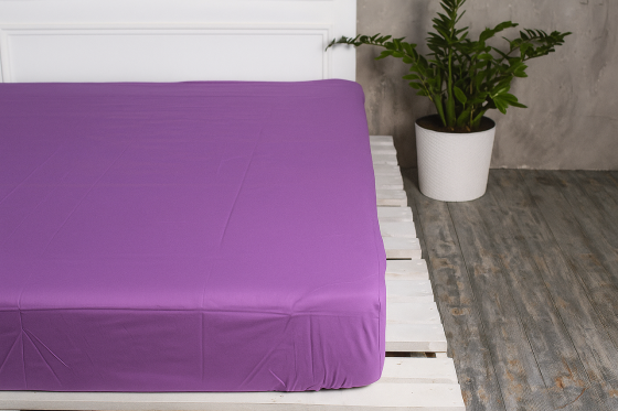 Ecotton Простирадло на резинці Ecotton 90х190 см однотонне фіолетовий Orhid Bloom Коломия