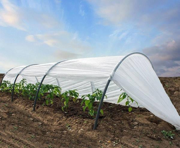 Парник 60г/м2 3м Харків - фото 1