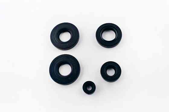 Сальники (набір) КАРПАТИ (5шт) VDK Київ