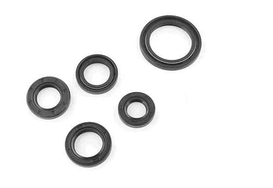 Сальники (набір) мопед Дельта, мотоцикл Альфа (5шт) (18,9x30x5; 13,7x24x5; 17x29x5; 12x21x4; 30x42x4,5) Мукачево