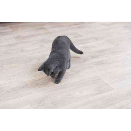 Іграшка Trixie Указка лазерна Moving Light для котів, на стіну, 11 см Вінниця