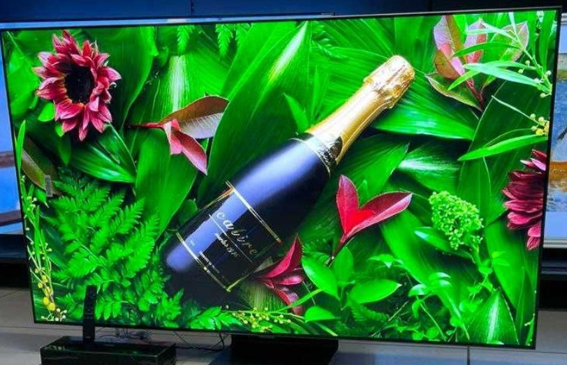 Телевизор Безрамный: 65