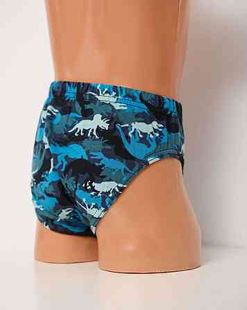 Підліткові труси на хлопчика — Динозаври (5 шт. в уп) Nicoletta 41717 10-11 Київ