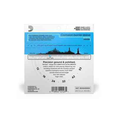 Струны для гитары D'Addario Flat Tops Phosphor Bronze Light (12-53) (EFT16) Винница