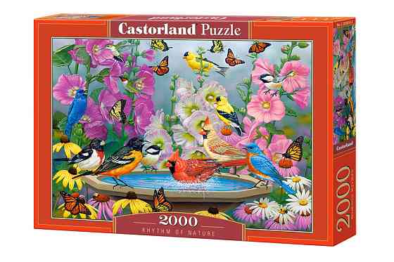 Пазл Castorland 2000 Киев