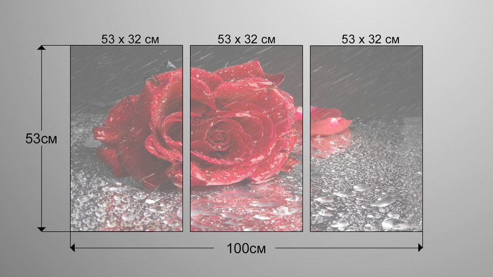 Модульна картина Квіти Троянда Аrt-85_3А Київ - фото 3