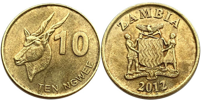 Zambia Замбия 10 Ngwee 2012 UNC Полтава - изображение 1