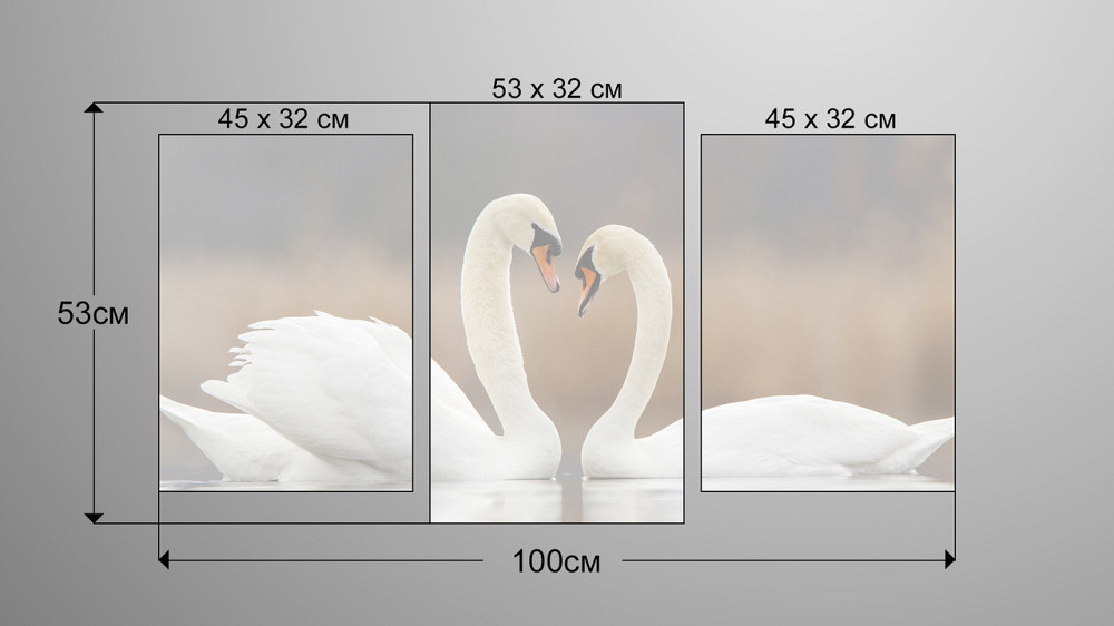 Модульна картина Природа Лебеді Art-127_3 Київ - фото 3