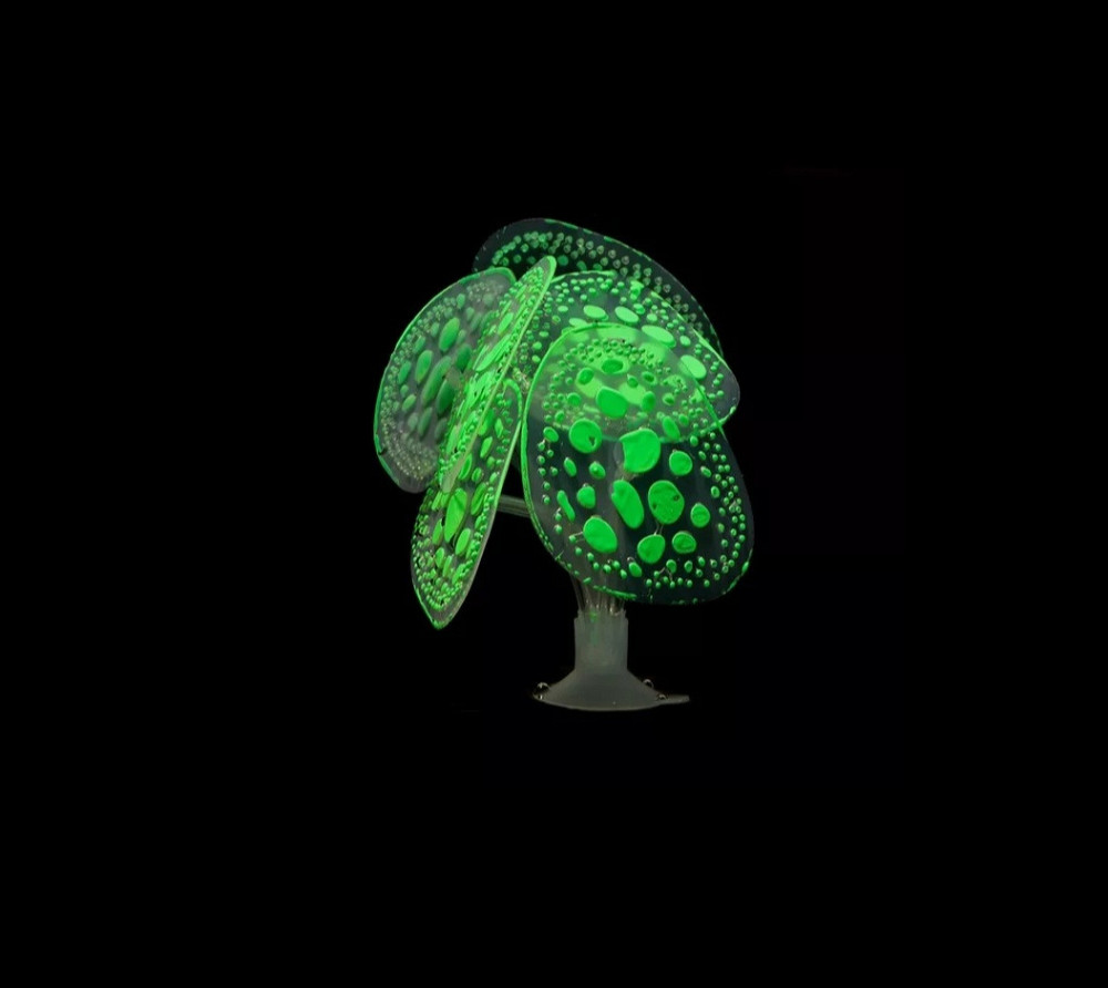 Декор в аквариум Грибы салатовые, длина 10см, силикон, на присоске Киев - изображение 1