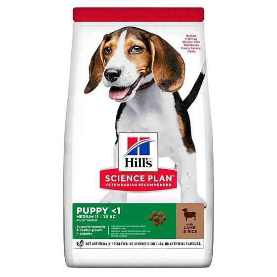 Сухой корм для щенков Хиллс Hills SP Puppy Medium 2.5 кг с ягненком и рисом для средних пород собак Винница