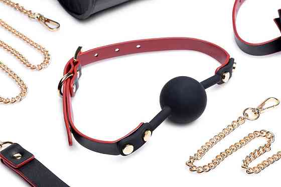 Набір БДСМ з дорожньою сумкою Master Series: Bow — Luxury BDSM Set With Travel Bag, 11 предметів Sex Aura Київ