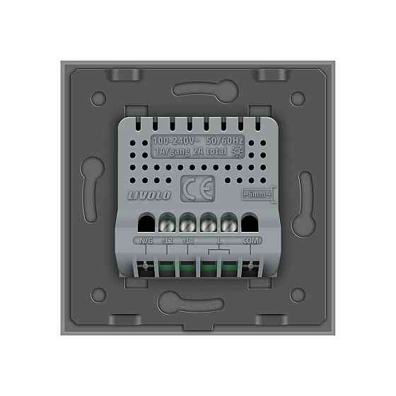 LIVOLO Розумний сенсорний ЕС вимикач 2 сенсори LIVOLO сірий матове скло Коломия