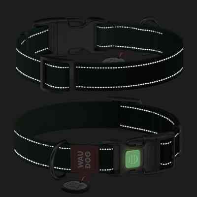 Нашийник для тварин WAUDOG Nylon Mono з QR паспортом, пластиковий фастекс XL зелений (521618) Вінниця