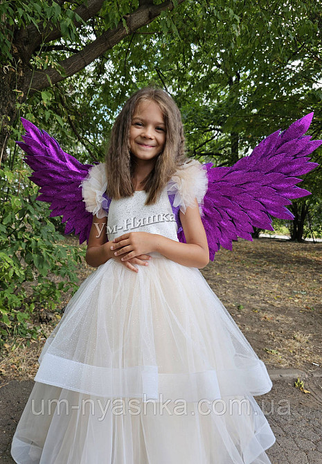 Фіолетові Крила великі Кривий Ріг - фото 3