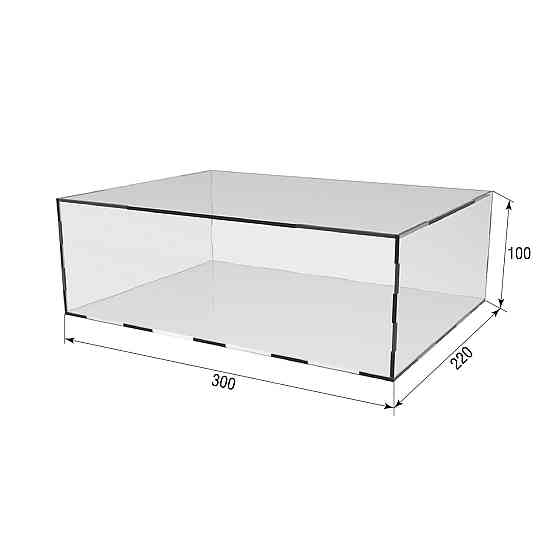 Коробка акриловая EKOSTAR 300х220х100 с крышкой Киев