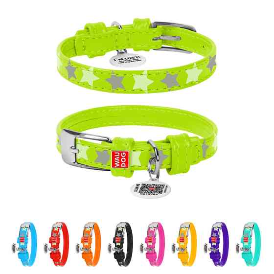Нашийник для собак шкіряний WAUDOG Glamour з QR паспортом, візерунок "Зірочка", світлонакопичув Коломыя