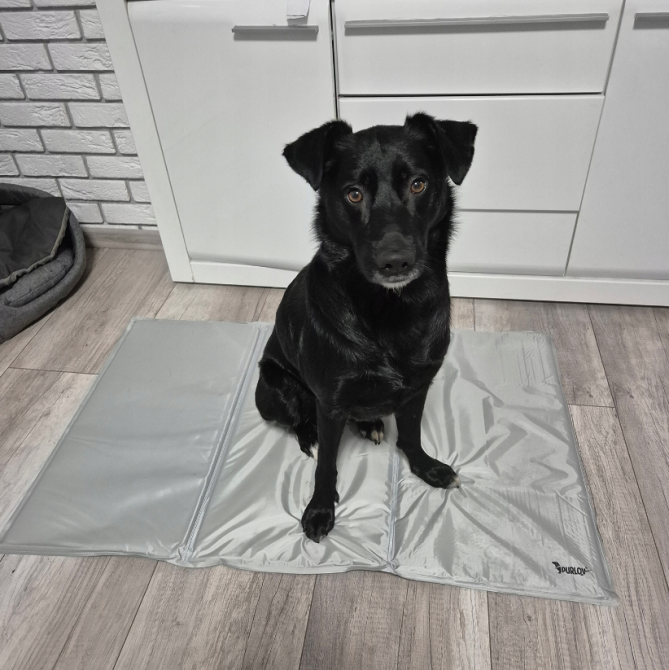 Охолоджувальний килимок для собак і кішок XXL 110x70см Purlov (Польща) Київ - фото 7